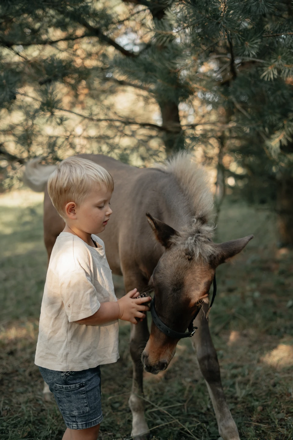 LOVE & FAMILY STORIES — foto 20